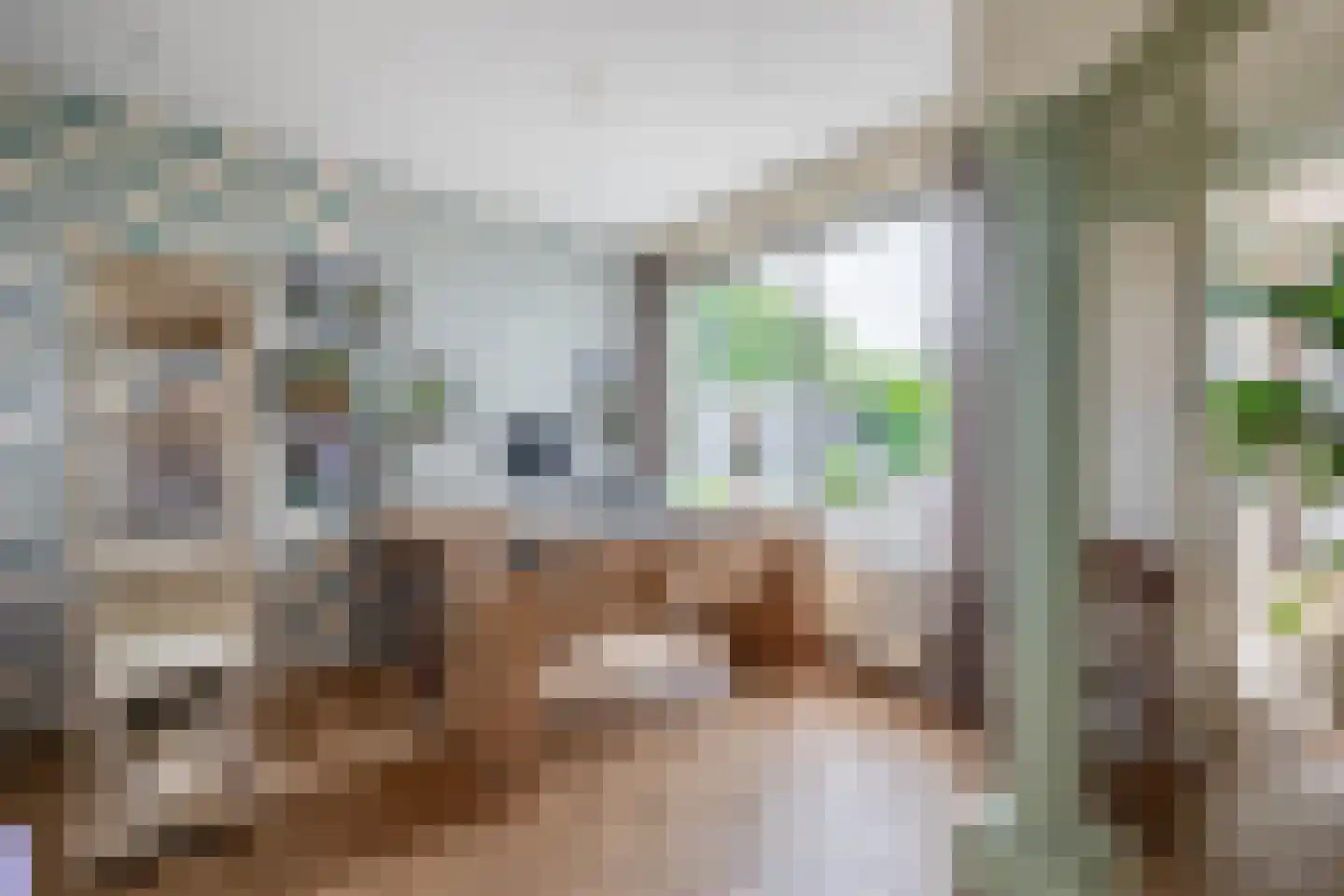 Prof de Vrijerlaan 30 Odijk thumbnail 17