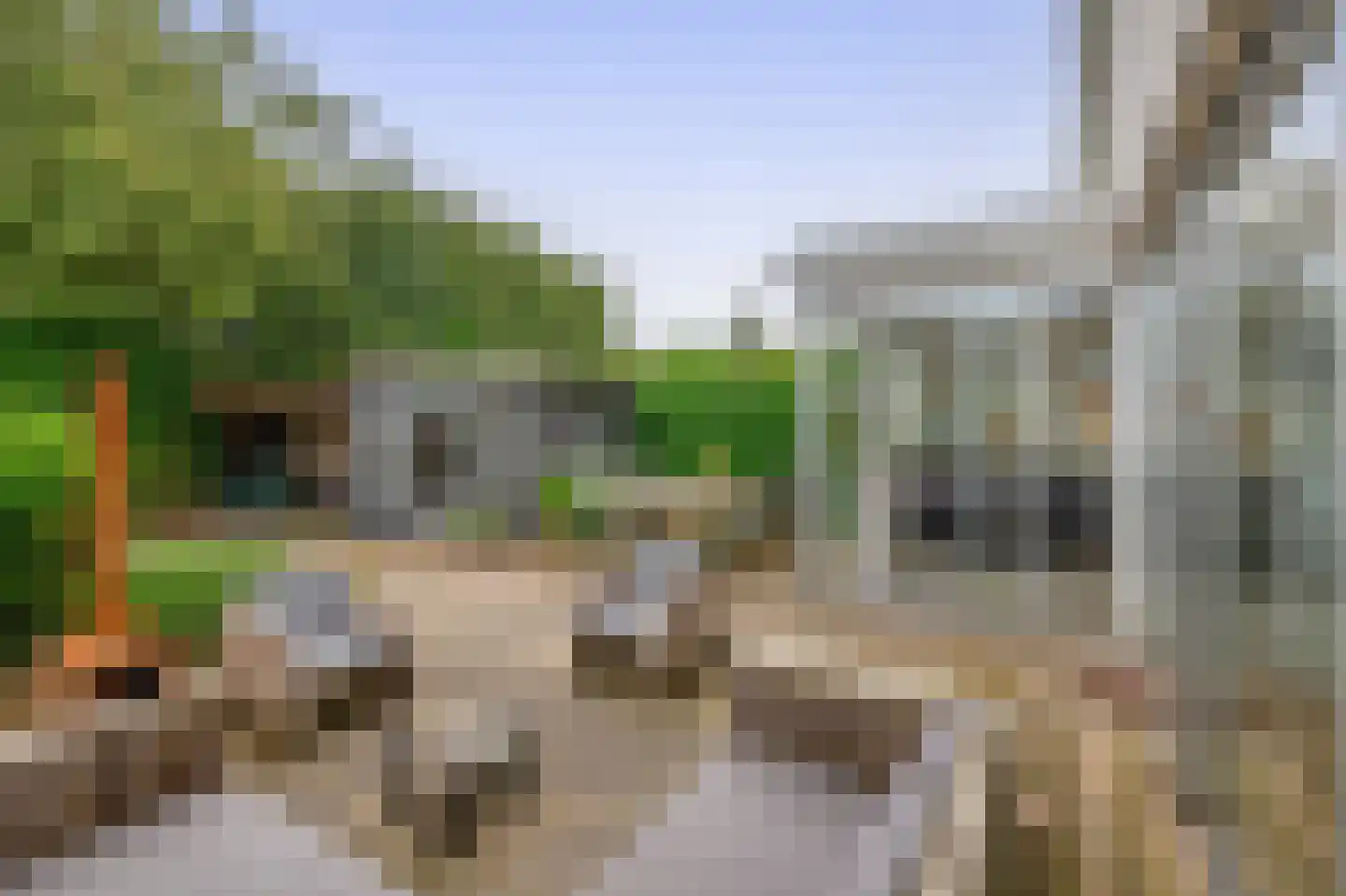 Prof de Vrijerlaan 30 Odijk thumbnail 22
