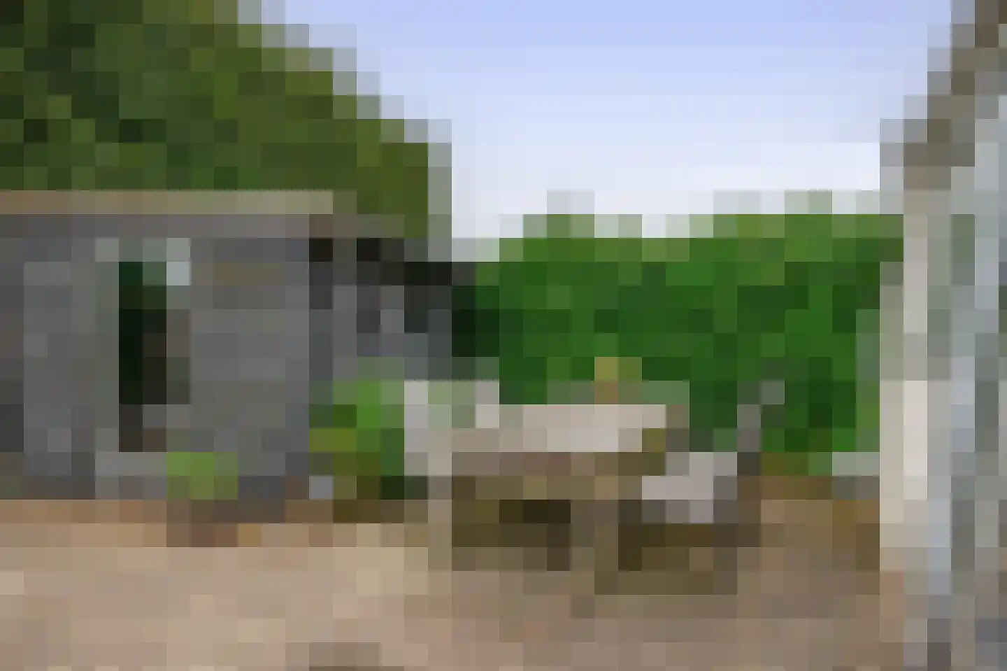 Prof de Vrijerlaan 30 Odijk thumbnail 23
