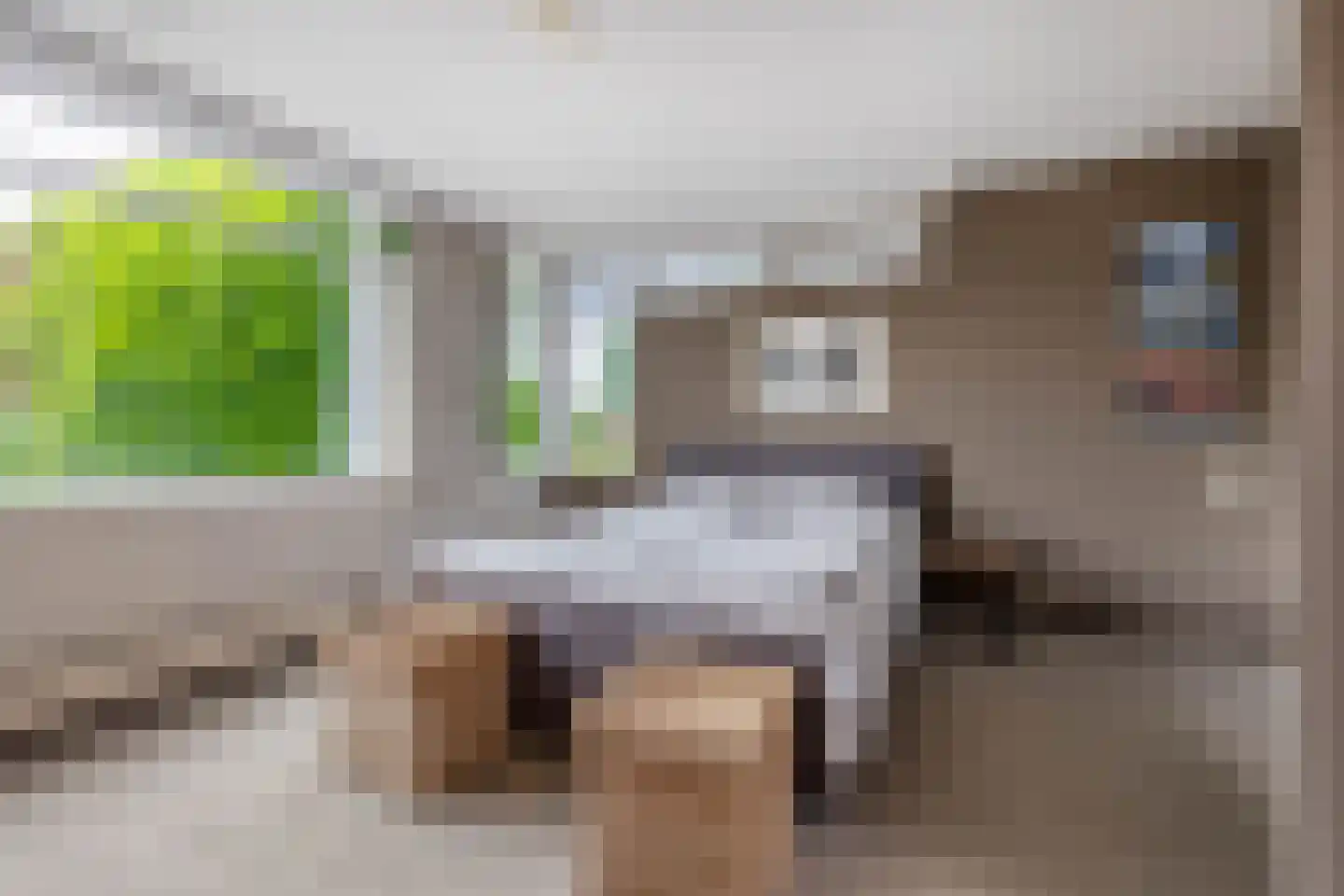 Prof de Vrijerlaan 30 Odijk thumbnail 28