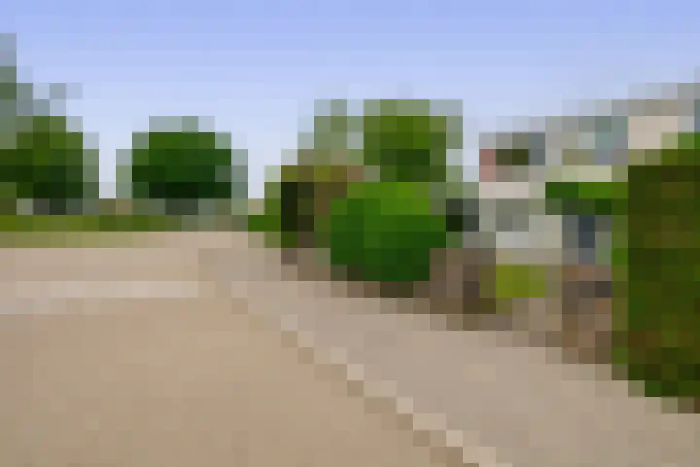 Prof de Vrijerlaan 30 Odijk thumbnail 55