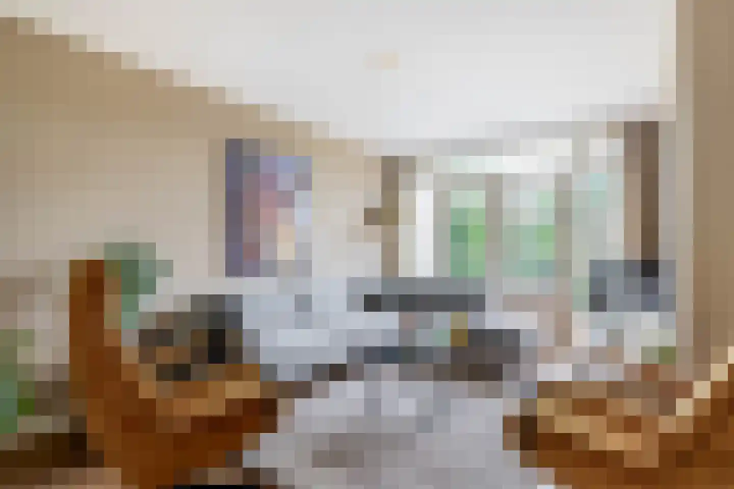 Prof de Vrijerlaan 30 Odijk thumbnail 8