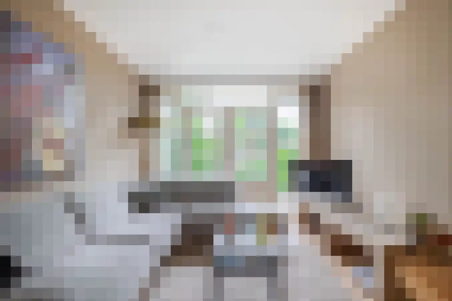 Prof de Vrijerlaan 30 Odijk thumbnail 9