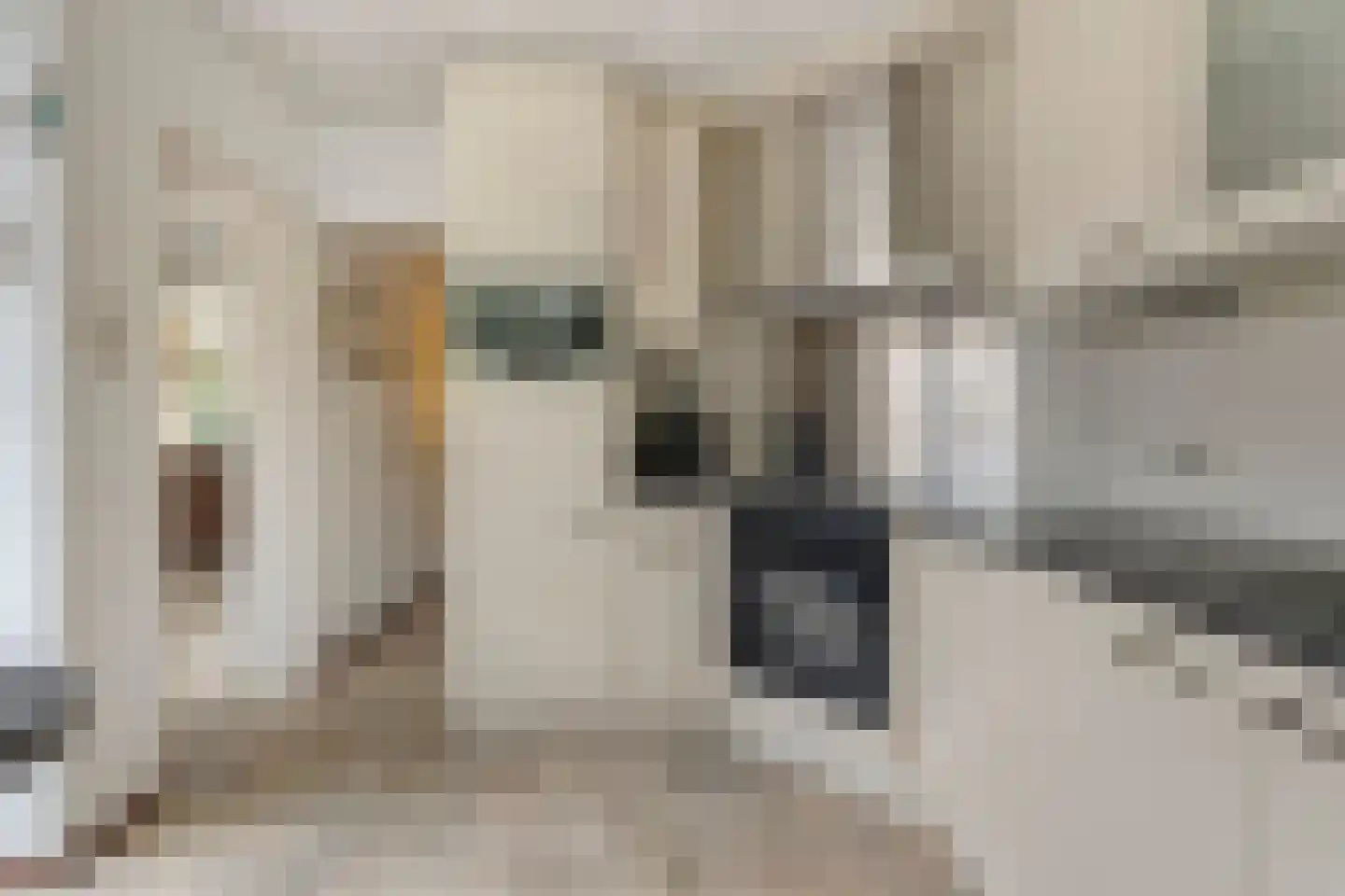 Prof. Dondersstraat 4 Bergen op Zoom thumbnail 10
