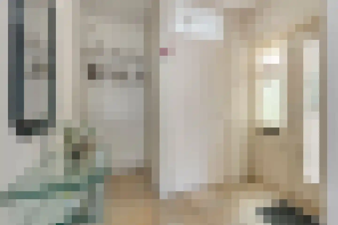 Prof. Dondersstraat 4 Bergen op Zoom thumbnail 12