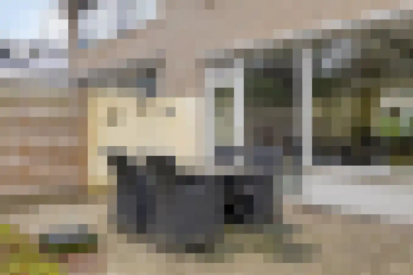 Prof. Dondersstraat 4 Bergen op Zoom thumbnail 27