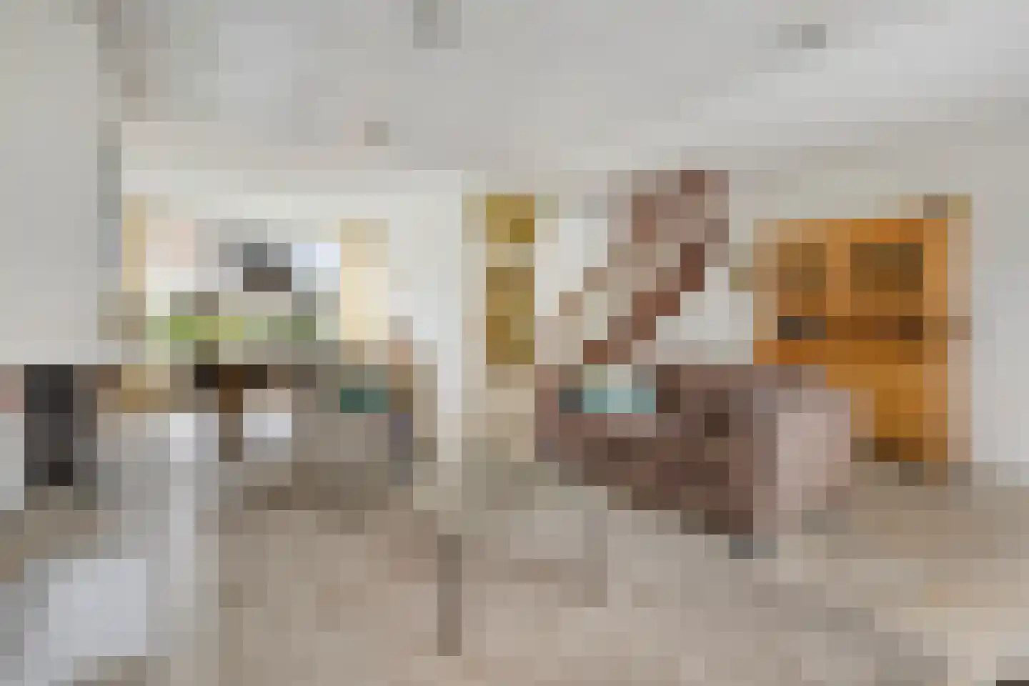 Prof. Dondersstraat 4 Bergen op Zoom thumbnail 4