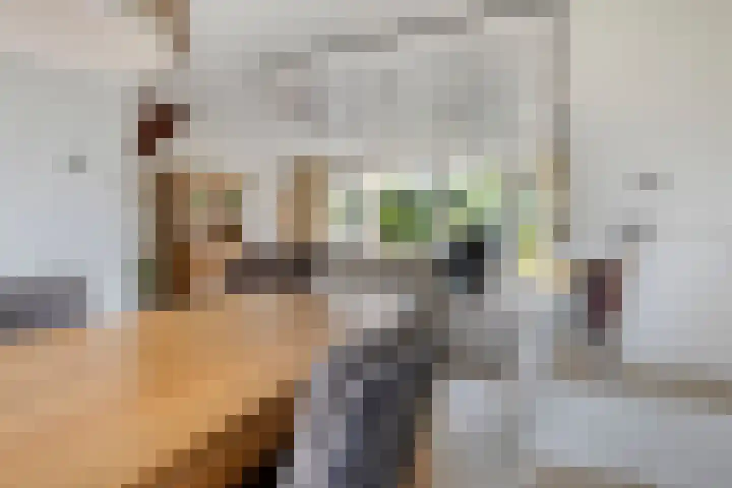 Prof. Dondersstraat 4 Bergen op Zoom thumbnail 6