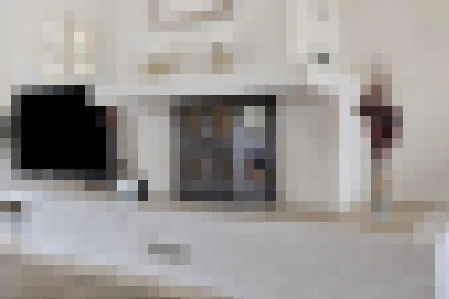 Prof. Dondersstraat 4 Bergen op Zoom thumbnail 7