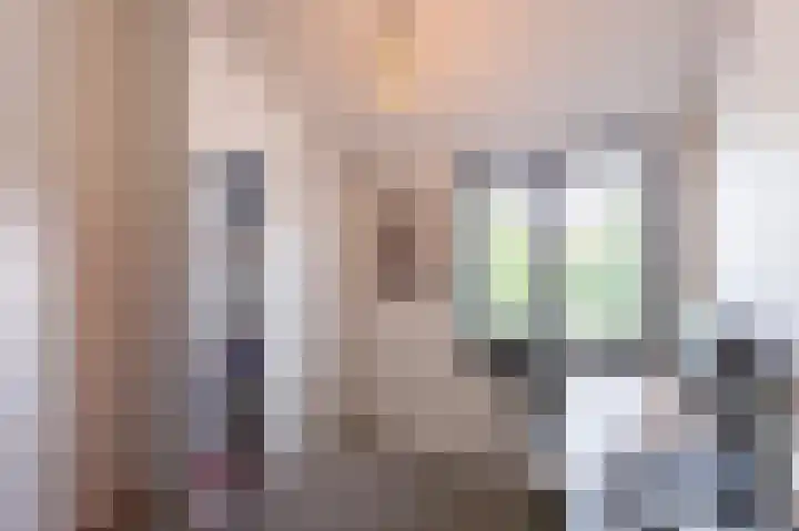 Prof. Dondersstraat 68 Helmond thumbnail 37