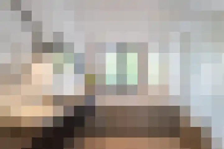 Prof. Dondersstraat 68 Helmond thumbnail 38