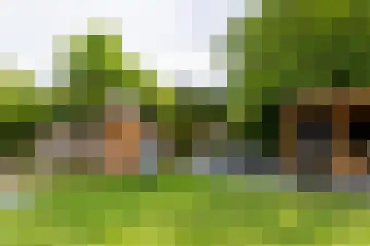 Prof. Dondersstraat 68 Helmond thumbnail 50