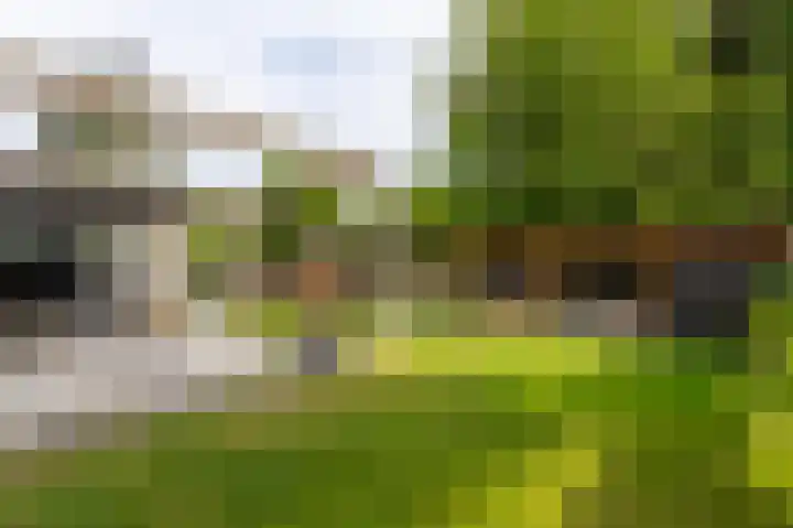 Prof. Dondersstraat 68 Helmond thumbnail 51