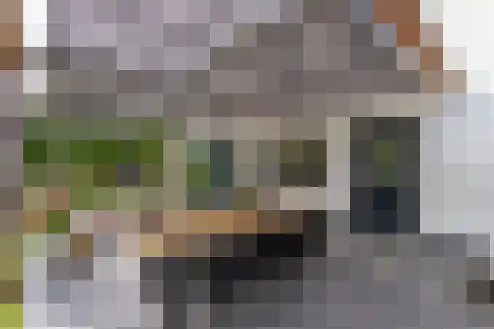 Prof. Dondersstraat 68 Helmond thumbnail 53
