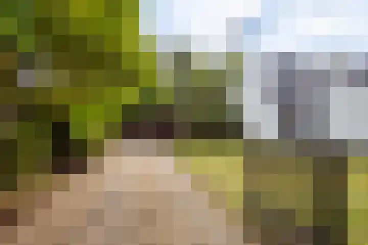 Prof. Dondersstraat 68 Helmond thumbnail 6