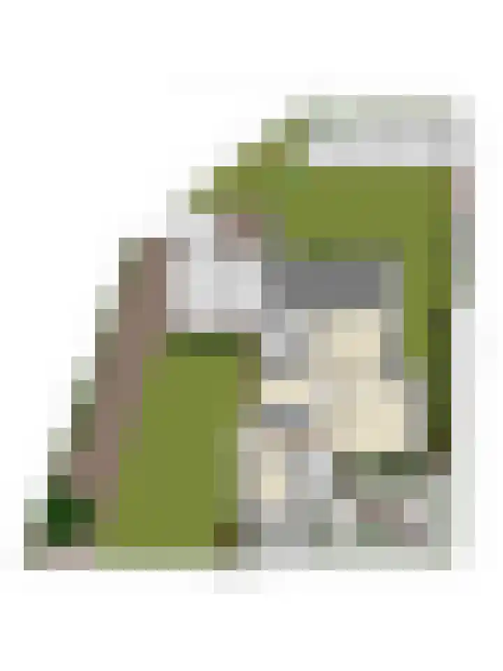 Prof. Dondersstraat 68 Helmond thumbnail 63