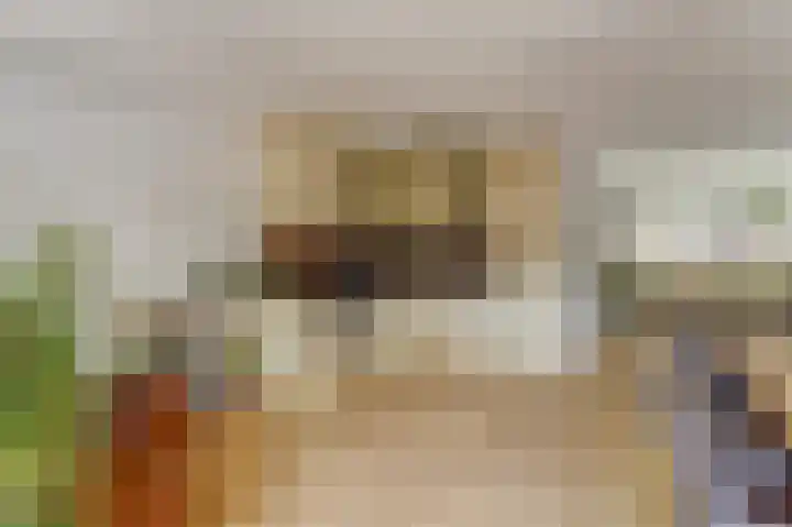 Prof. Dr. Bakkerlaan 2 Nieuwegein thumbnail 12