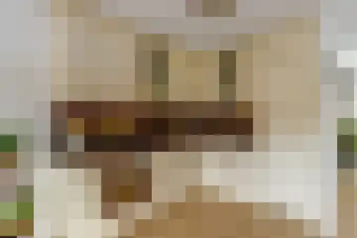 Prof. Dr. Bakkerlaan 2 Nieuwegein thumbnail 13