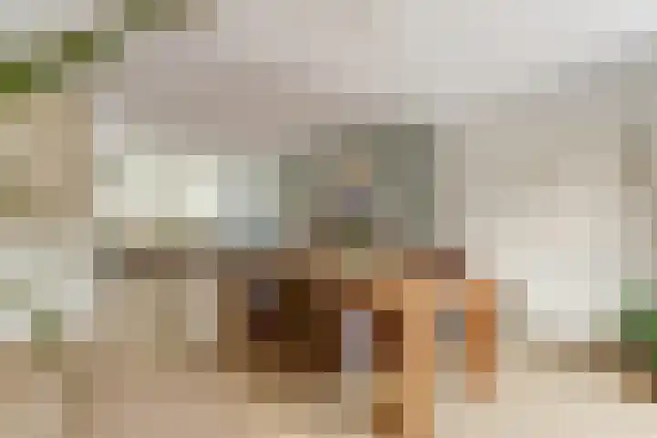 Prof. Dr. Bakkerlaan 2 Nieuwegein thumbnail 14