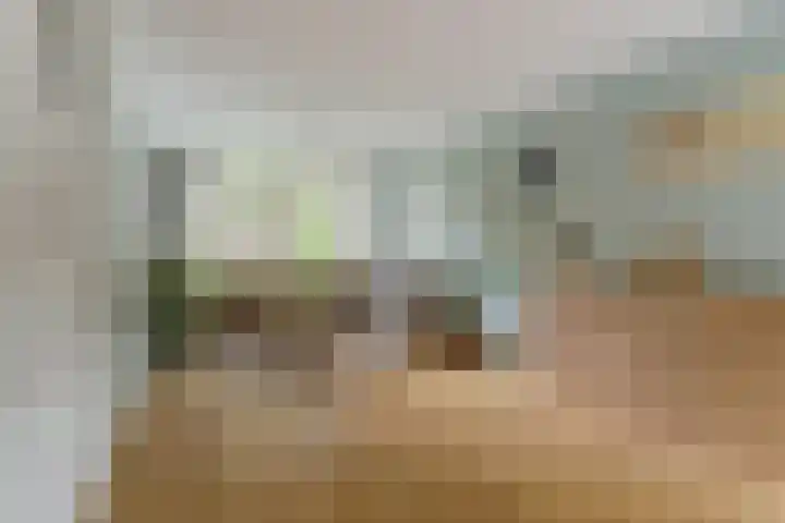 Prof. Dr. Bakkerlaan 2 Nieuwegein thumbnail 15