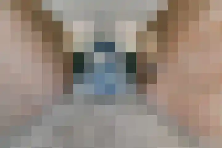 Prof. Dr. Bakkerlaan 39 Nieuwegein thumbnail 22