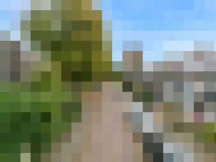 Prof. Dr. Bakkerlaan 39 Nieuwegein thumbnail 25