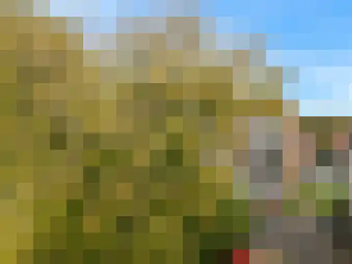 Prof. Dr. Bakkerlaan 39 Nieuwegein thumbnail 26