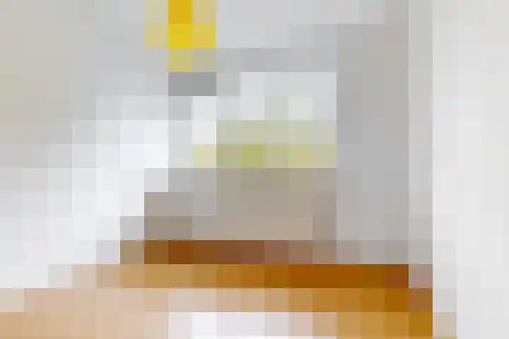 Prof. Dr. Bakkerlaan 39 Nieuwegein thumbnail 8