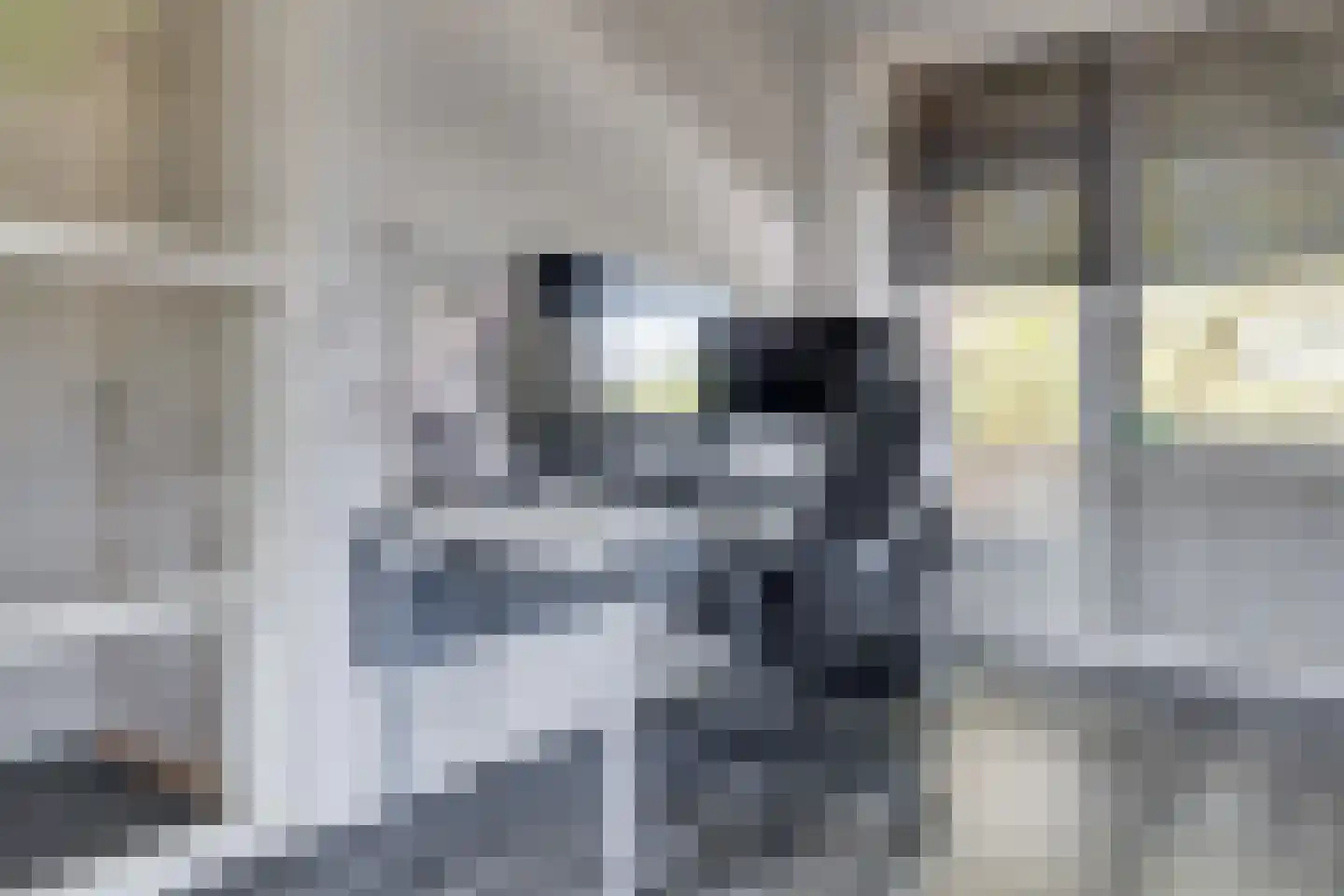 Prof. Dr. Bakkerlaan 67 Nieuwegein thumbnail 17