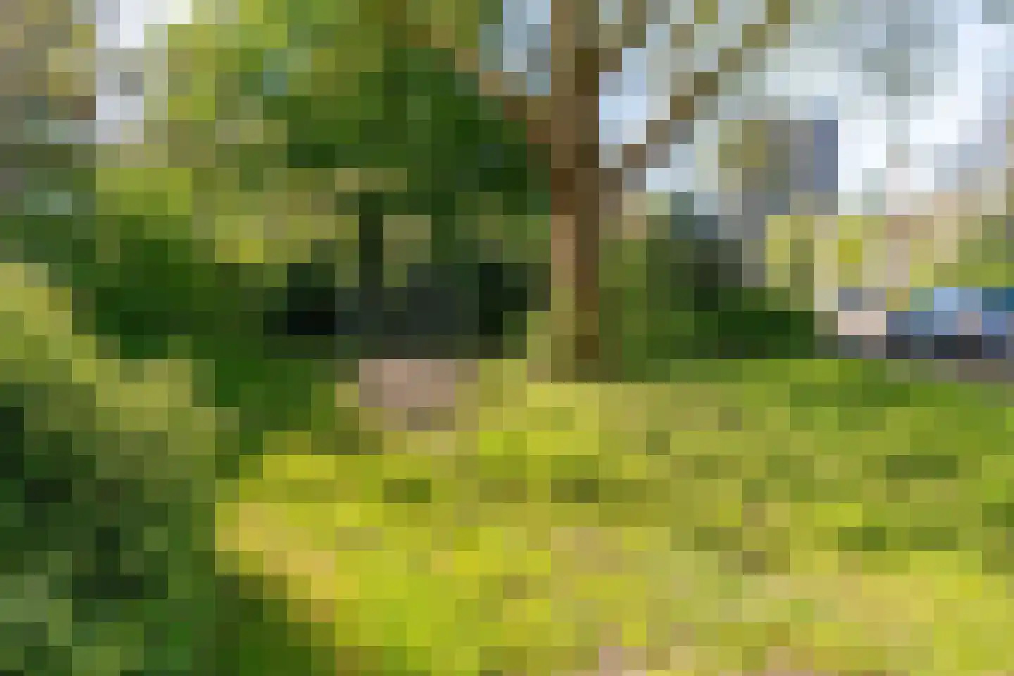 Prof. Dr. Bakkerlaan 67 Nieuwegein thumbnail 27