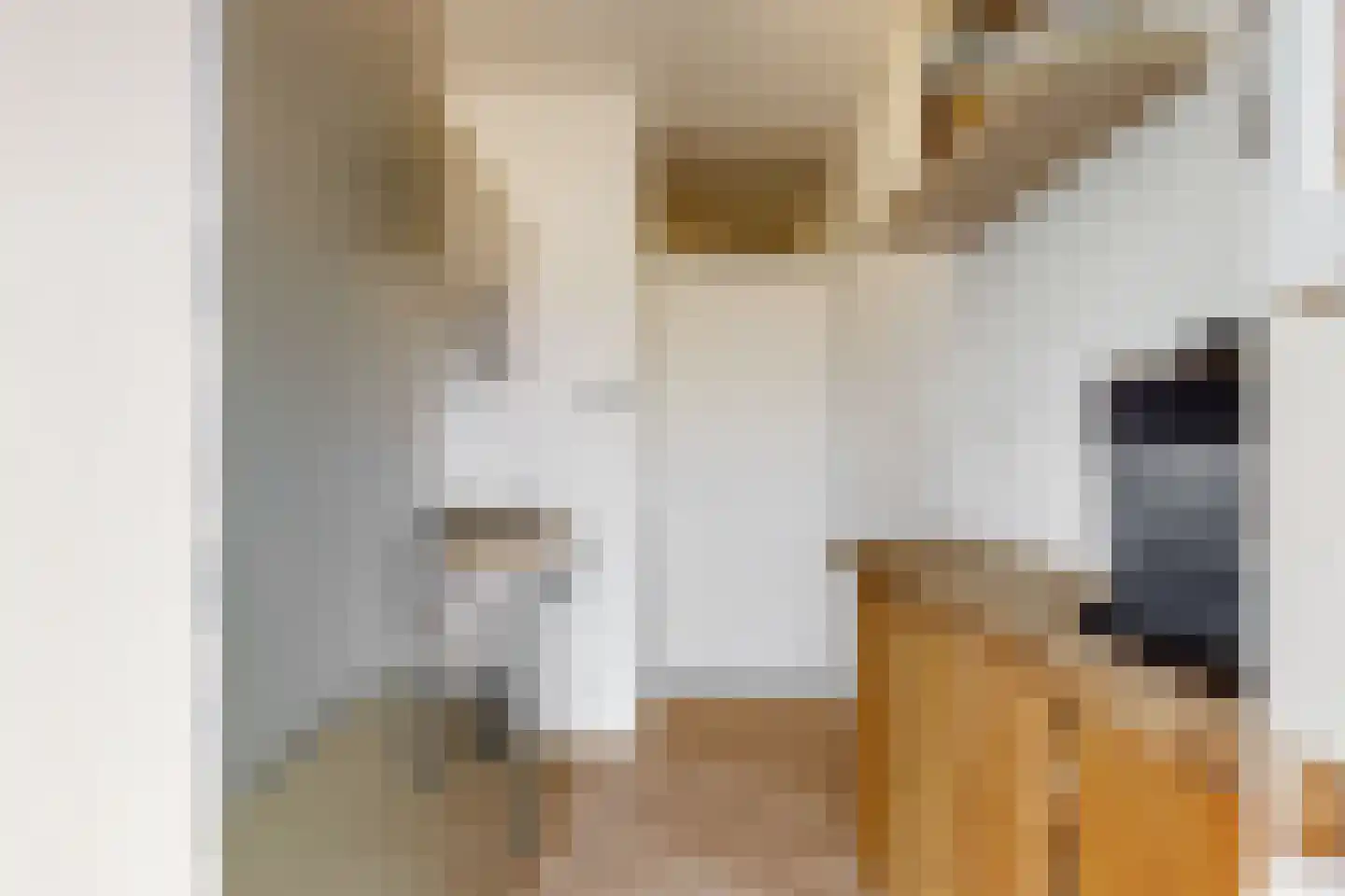 Prof. Dr. Bakkerlaan 7 Nieuwegein thumbnail 17