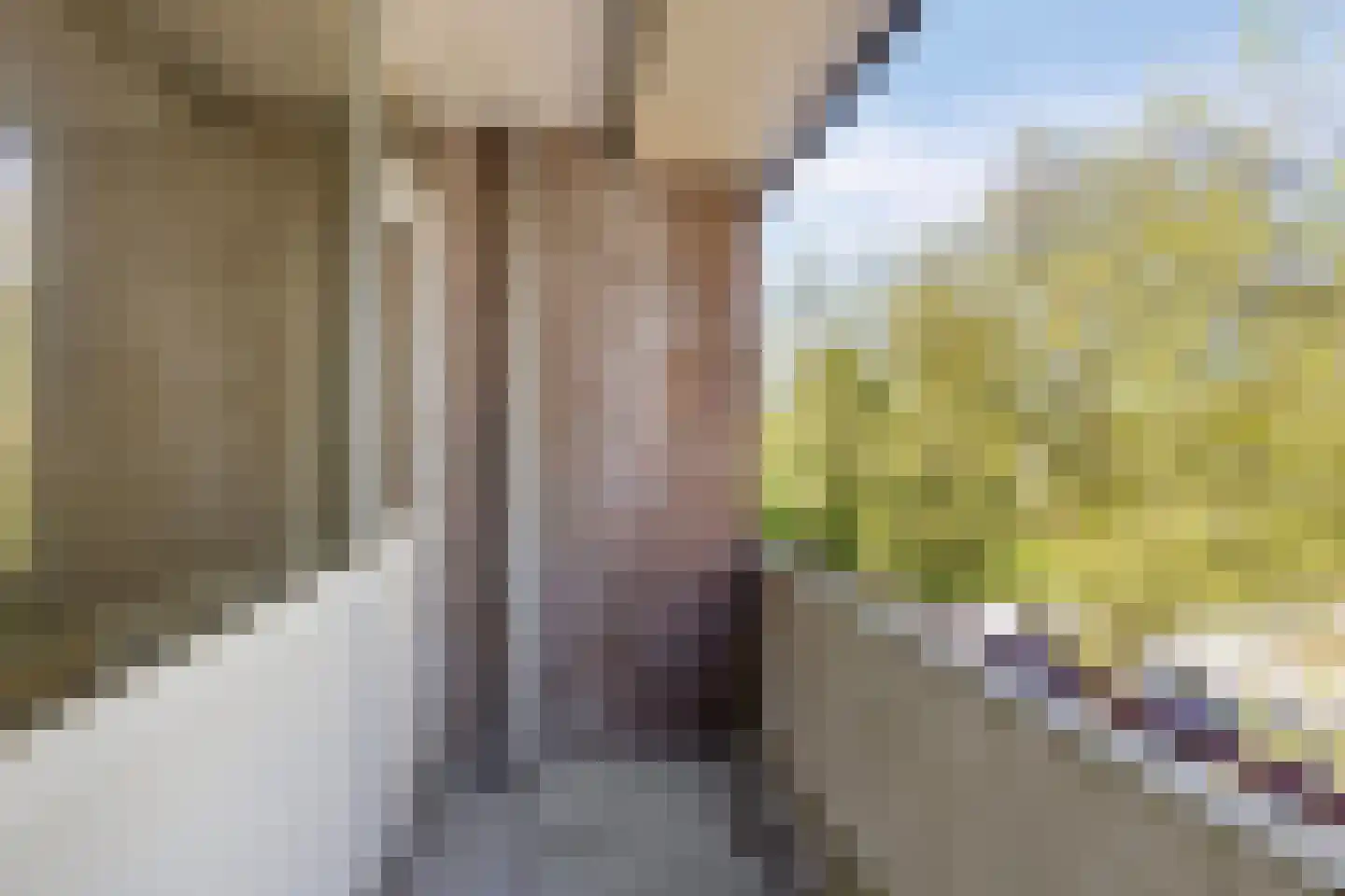 Prof. Dr. Bakkerlaan 75 Nieuwegein thumbnail 13