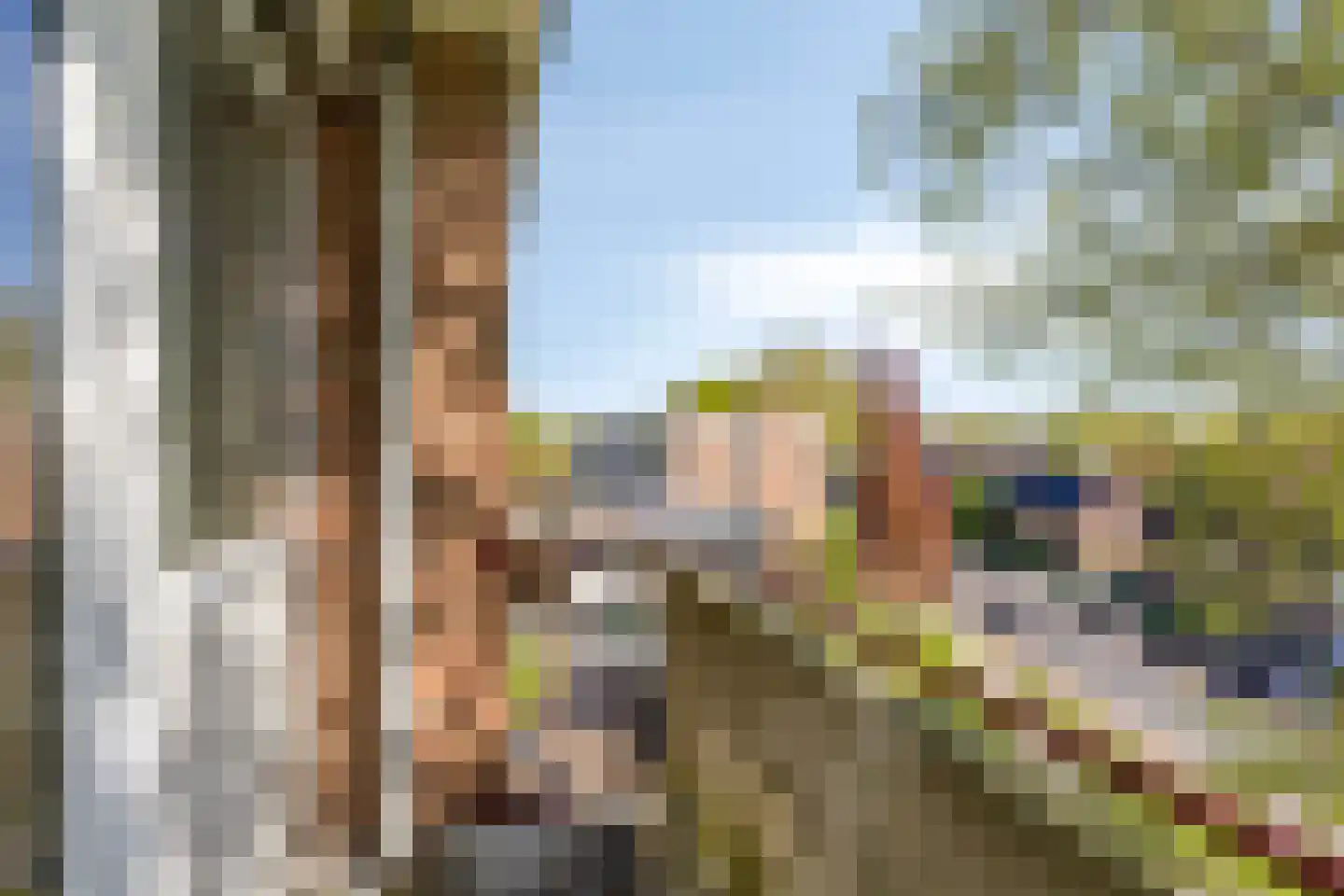 Prof. Dr. Bakkerlaan 75 Nieuwegein thumbnail 21