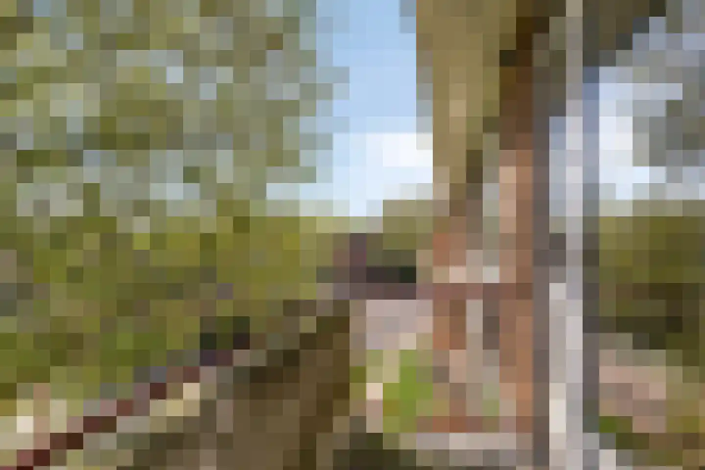 Prof. Dr. Bakkerlaan 75 Nieuwegein thumbnail 22
