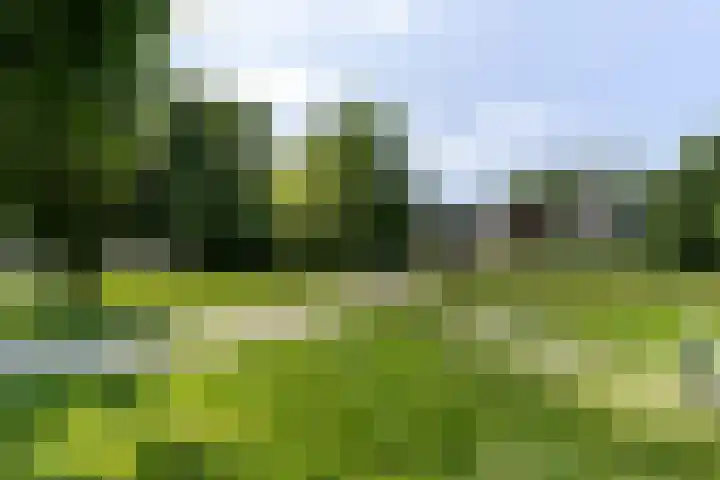 Prof. Dr. Bakkerlaan 75 Nieuwegein thumbnail 40
