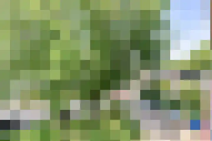 Prof. Dr. Bakkerlaan 81 Nieuwegein thumbnail 11