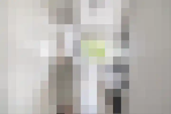 Prof. Dr. Bakkerlaan 81 Nieuwegein thumbnail 18