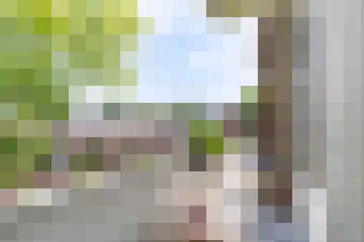 Prof. Dr. Bakkerlaan 81 Nieuwegein thumbnail 25