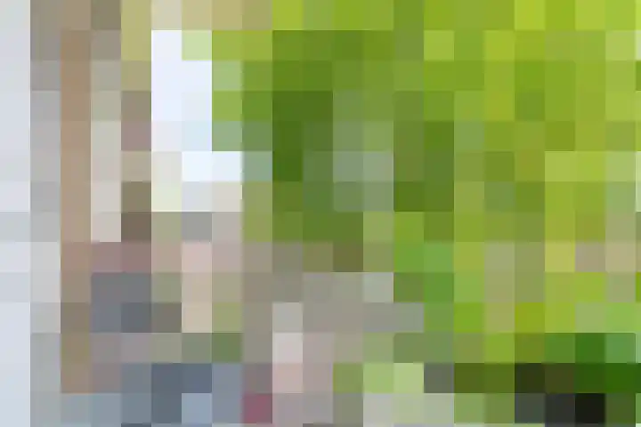 Prof. Dr. Bakkerlaan 81 Nieuwegein thumbnail 26
