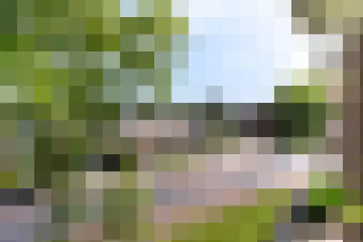 Prof. Dr. Bakkerlaan 81 Nieuwegein thumbnail 27