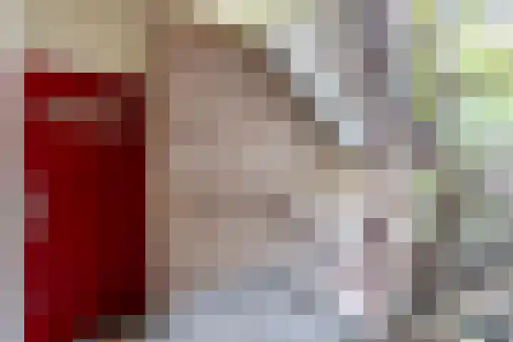 Prof. Dr. Bakkerlaan 81 Nieuwegein thumbnail 31