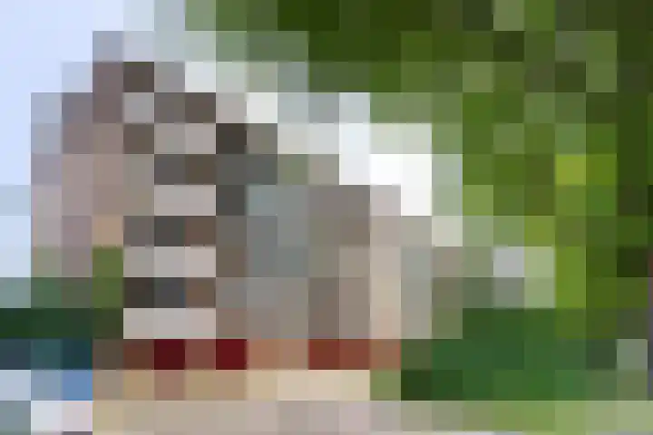 Prof. Dr. Bakkerlaan 81 Nieuwegein thumbnail 33