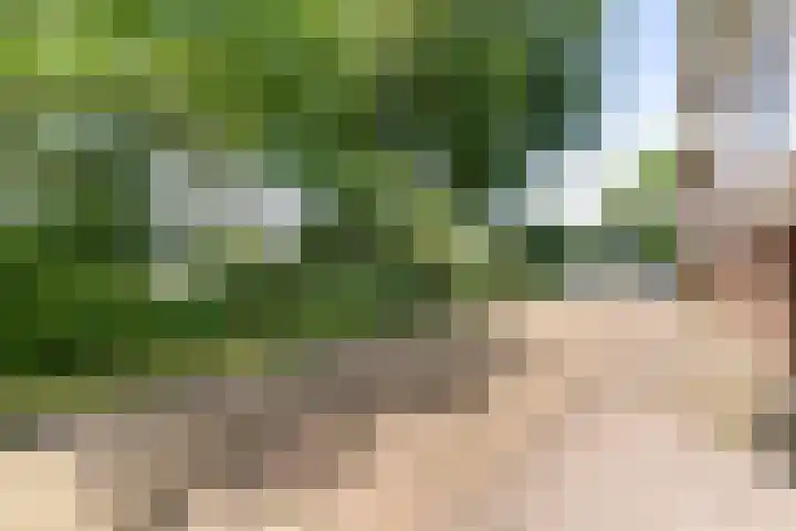 Prof. Dr. Bakkerlaan 81 Nieuwegein thumbnail 34