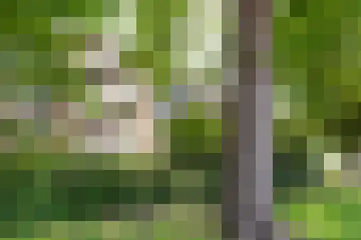 Prof. Dr. Bakkerlaan 81 Nieuwegein thumbnail 35