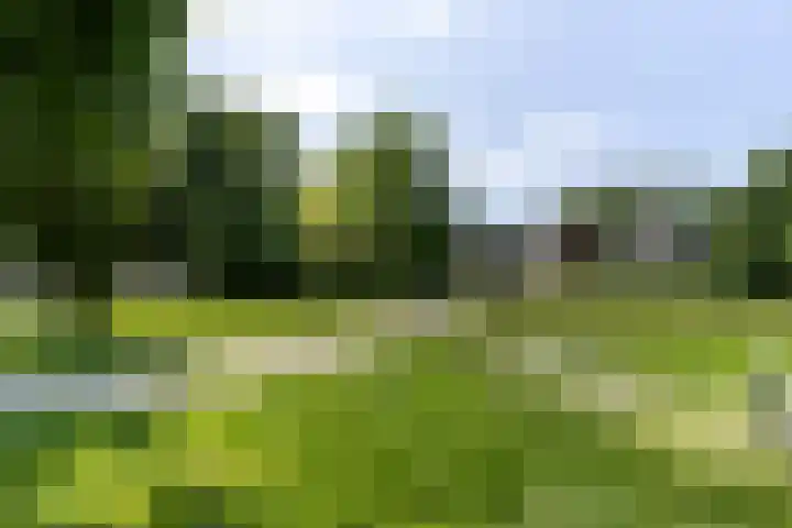 Prof. Dr. Bakkerlaan 81 Nieuwegein thumbnail 38