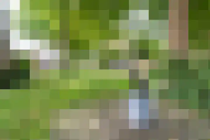 Prof. Dr. Bakkerlaan 81 Nieuwegein thumbnail 39