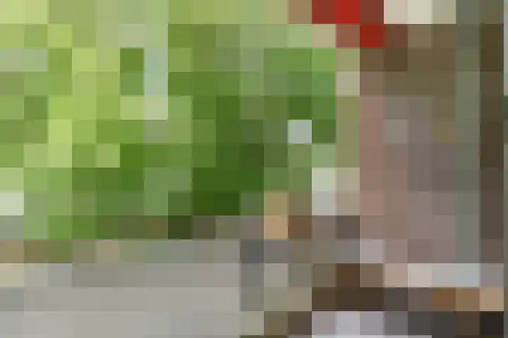 Prof. Dr. Bakkerlaan 81 Nieuwegein thumbnail 8