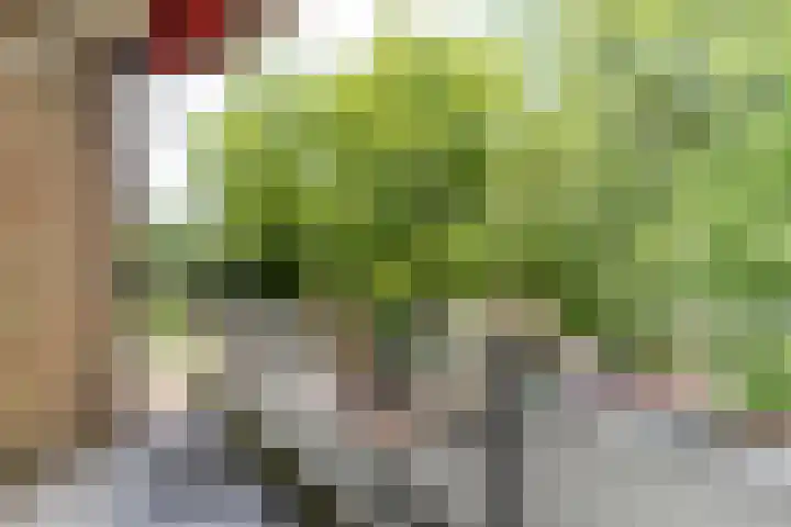 Prof. Dr. Bakkerlaan 81 Nieuwegein thumbnail 9
