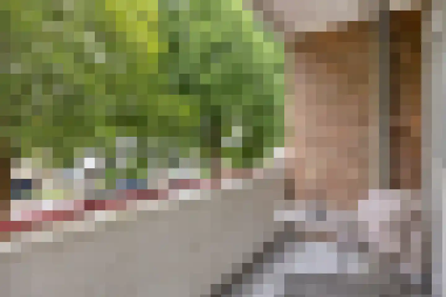 Prof. Dr. Bakkerlaan 95 Nieuwegein thumbnail 14