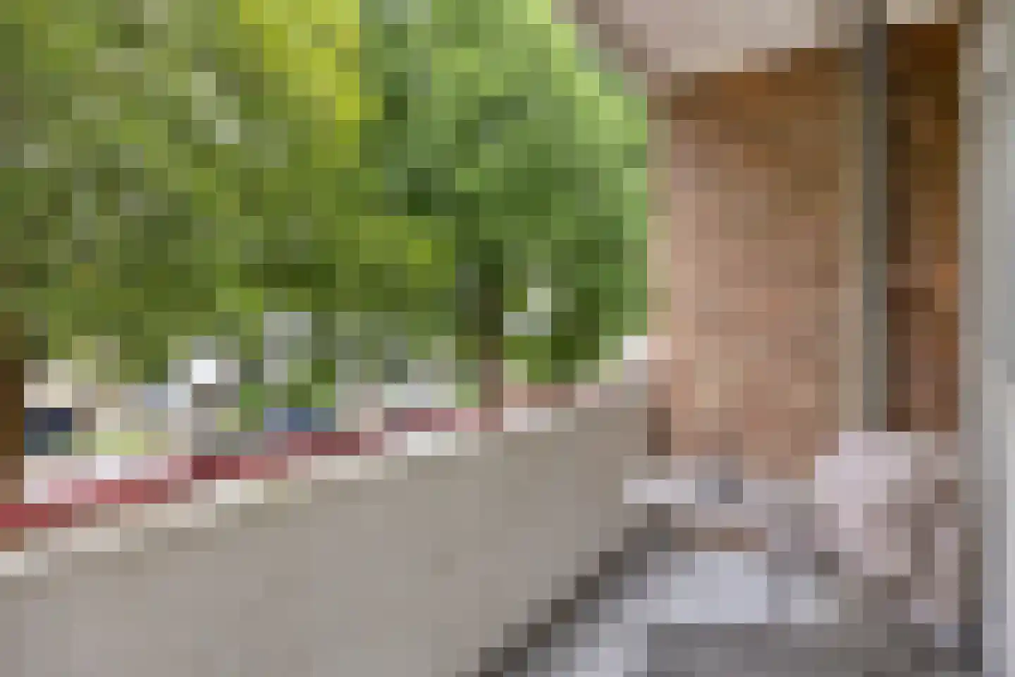 Prof. Dr. Bakkerlaan 95 Nieuwegein thumbnail 4